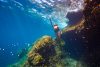 Underwater Affair Private Snorkeling Tours Sunset Secrets Late Afternoon Snorkelling Adventure
