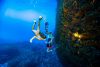 Underwater Affair Private Snorkeling Tours PRIVATE SNORKELING TOUR WITH TREASURE HUNT Eastern Istria - The Ancient Venetian Border - Pax Tecum