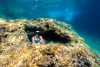 Underwater Affair Private Snorkeling Tours Underwater Photography Experience Capture your Adriatic experience
